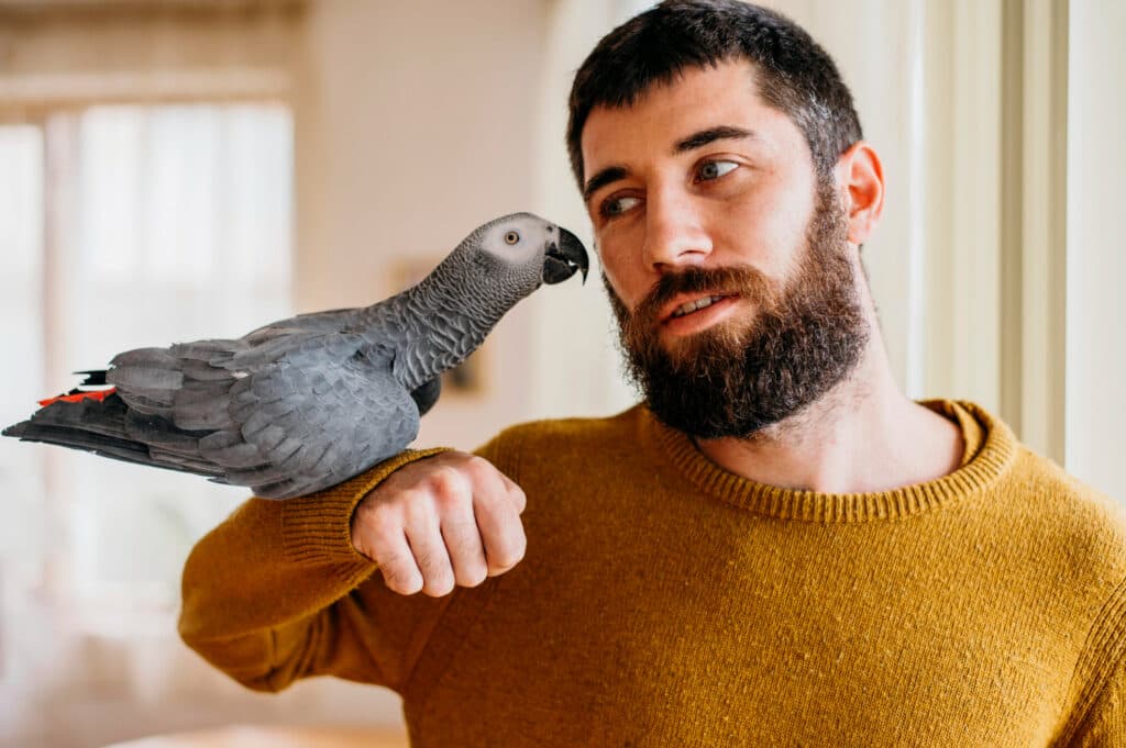 Cuidados Esenciales para Aves Domésticas: Guía Profesional de Alimentación, Hábitat y Bienestar