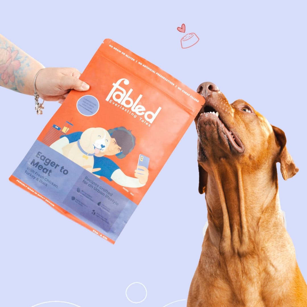 Fabled Eager to Meat 2 Kg - Alimento Libre de Granos con Pollo y Cordero para Perros Adultos - Miniatura 5