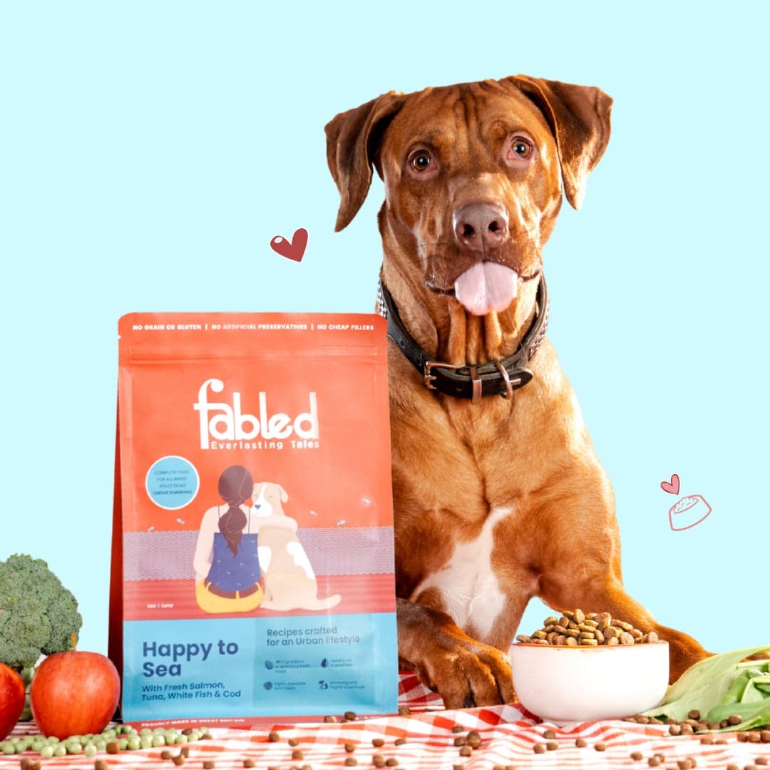 Fabled Happy to Sea 2 Kg - Alimento Sin Cereales con Pescado y Algas para Piel y Pelaje - Miniatura 5