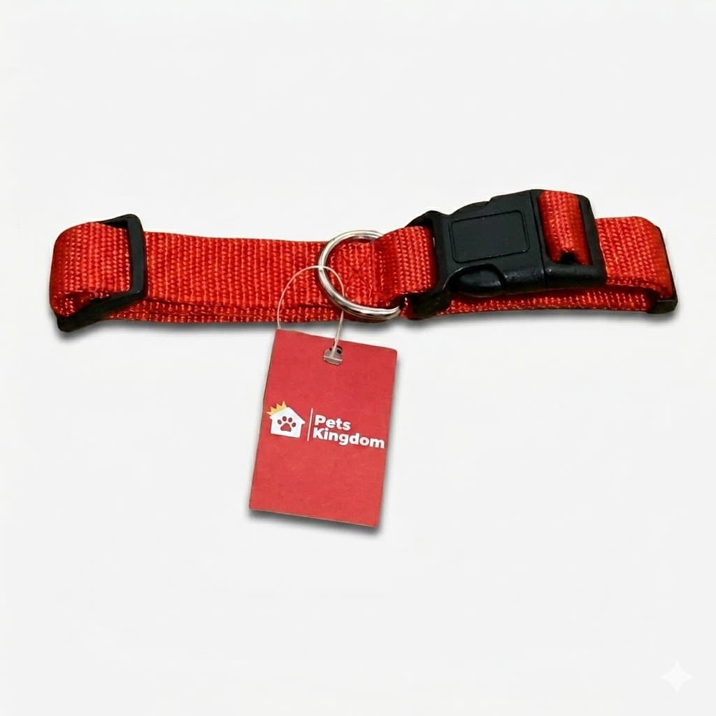 Collar Unicolor para Perros Pets Kingdom Talla L de Nailon de Alta Densidad con Hebilla de Seguridad Ajustable y Anillo Metálico Reforzado para Razas Grandes.