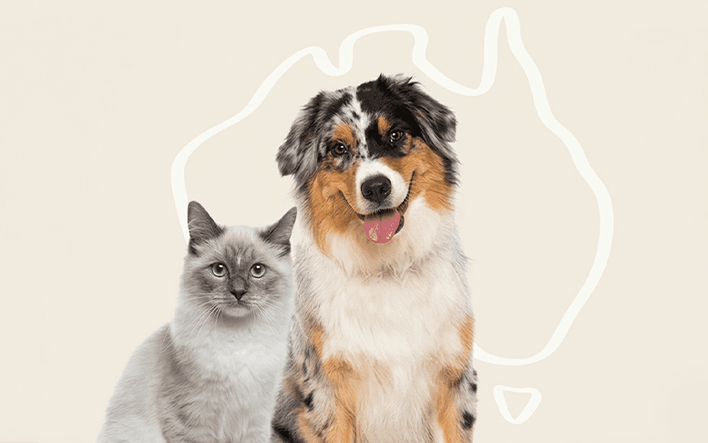 Arcadas en perros: por qué y cuándo consultar al veterinario