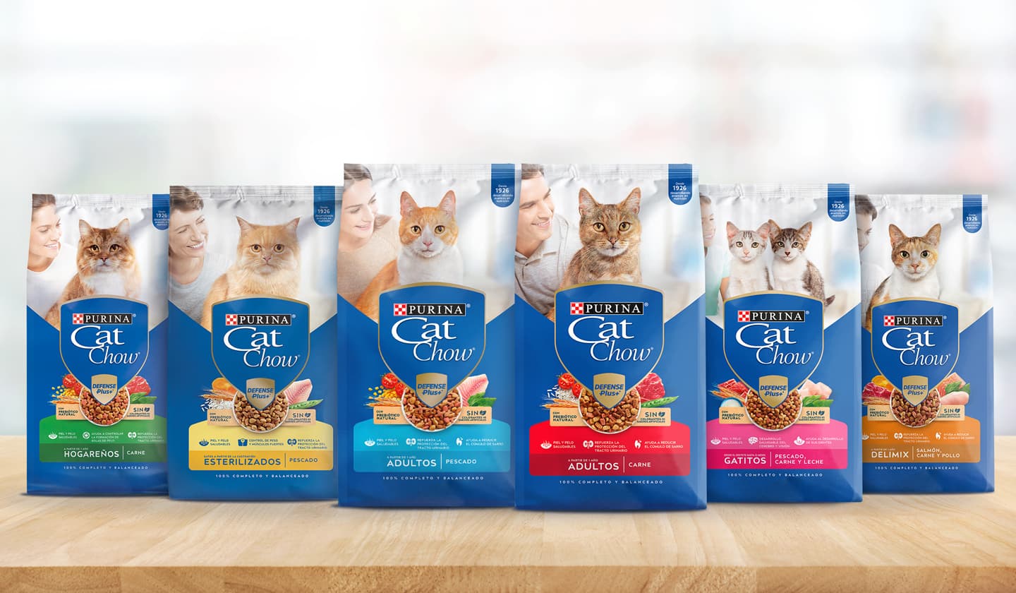 Banner promocional de CATCHOW