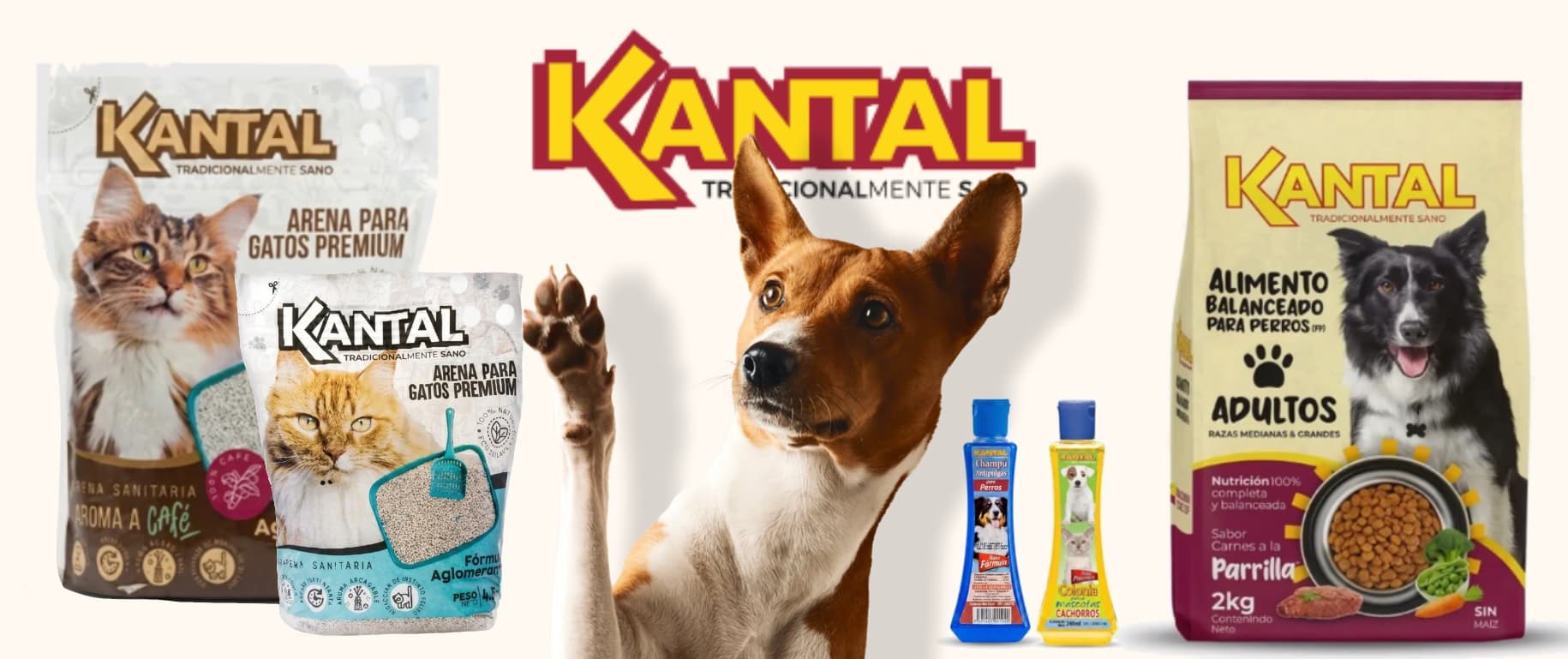 Banner promocional de KANTAL