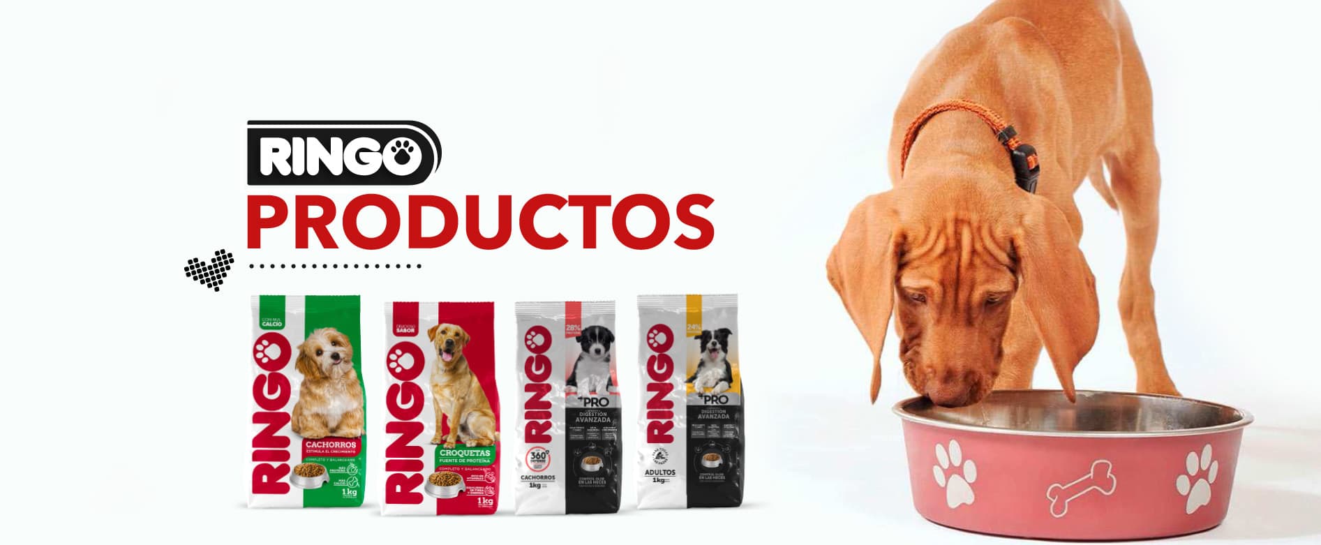Banner promocional de RINGO