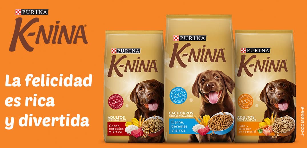 Banner promocional de K-NINA