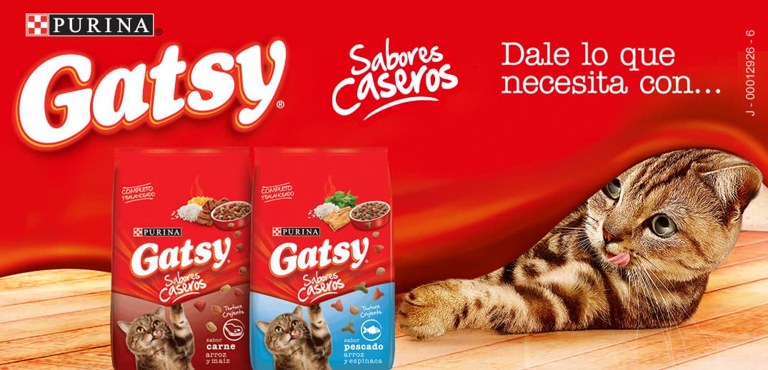 Banner promocional de GATSY