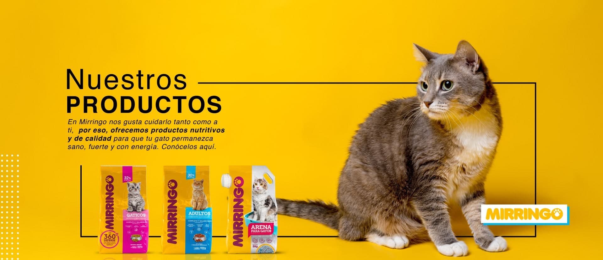 Banner promocional de MIRRINGO