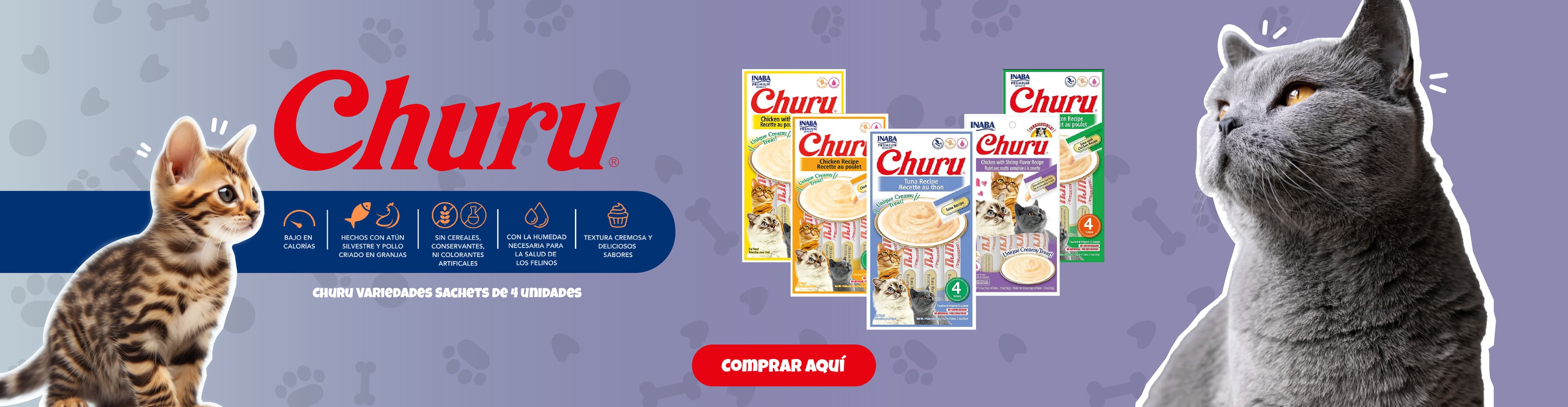 Banner promocional de CHURU