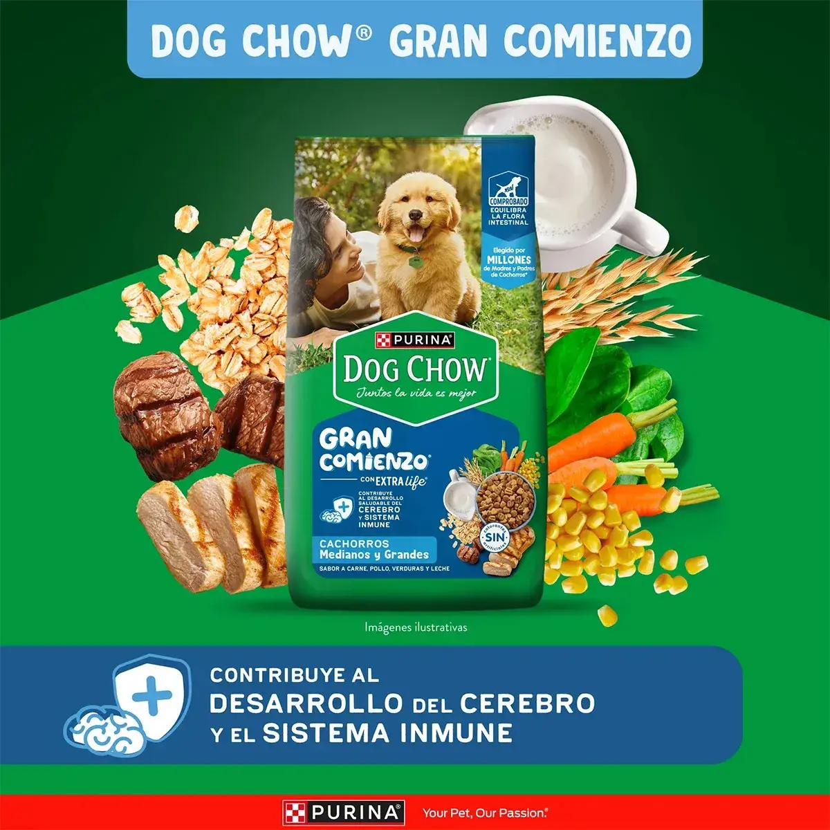 Purina Dog Chow 4 Kg Alimento Seco para Cachorros Razas Medianas y Grandes - Miniatura 2
