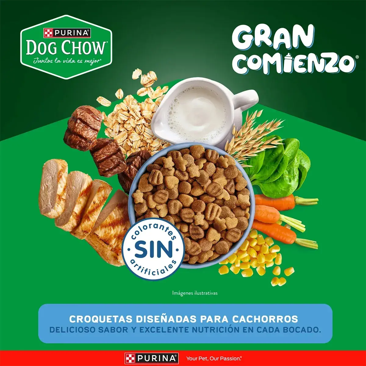 Purina Dog Chow 4 Kg Alimento Seco para Cachorros Razas Medianas y Grandes - Miniatura 5