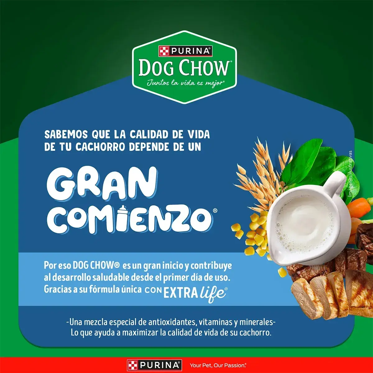 Purina Dog Chow 4 Kg Alimento Seco para Cachorros Razas Medianas y Grandes - Miniatura 4