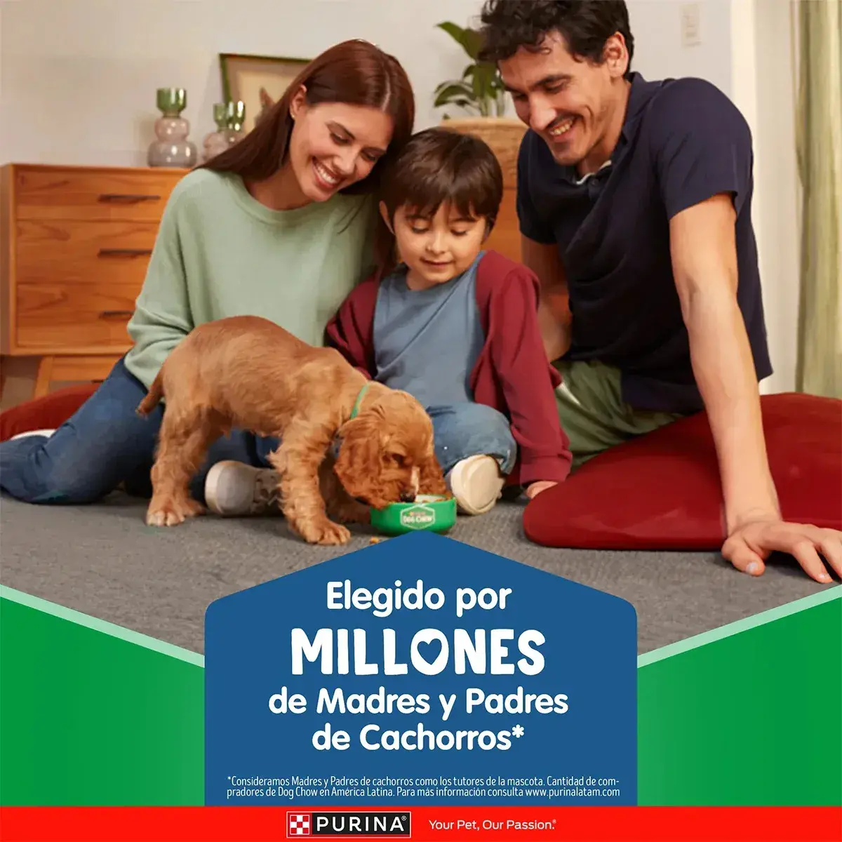 Purina Dog Chow 4 Kg Alimento Seco para Cachorros Razas Medianas y Grandes - Miniatura 6
